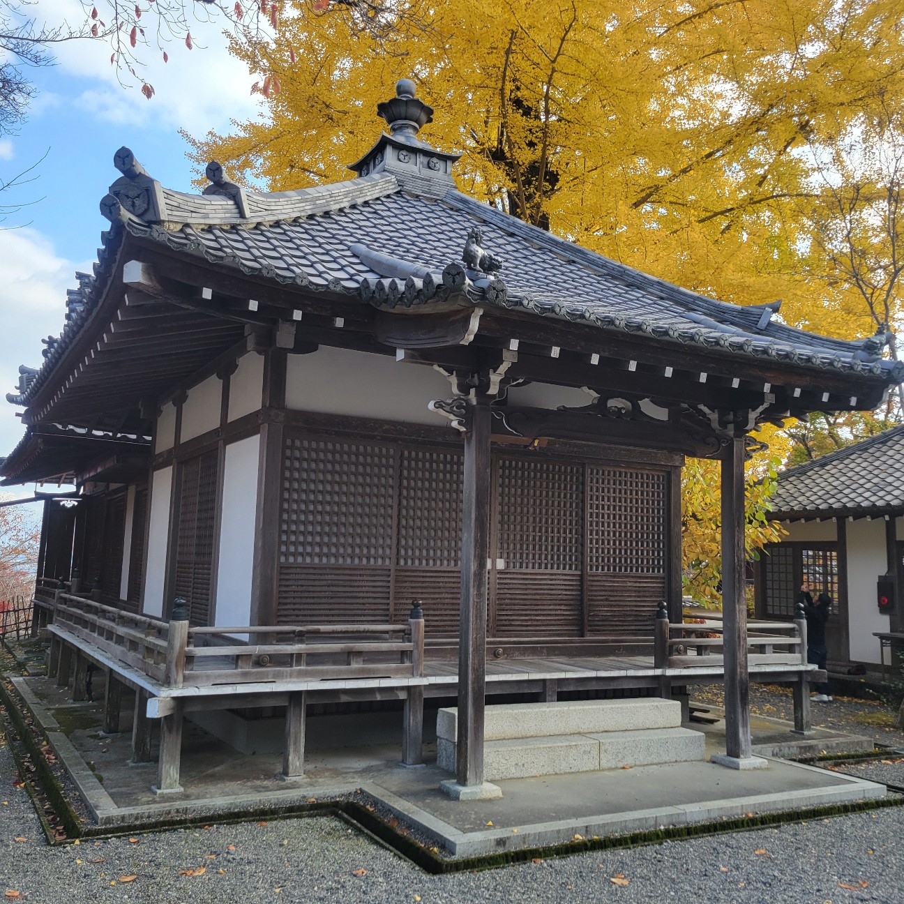 f:id:atoriatoriatori:20251219210457j:image