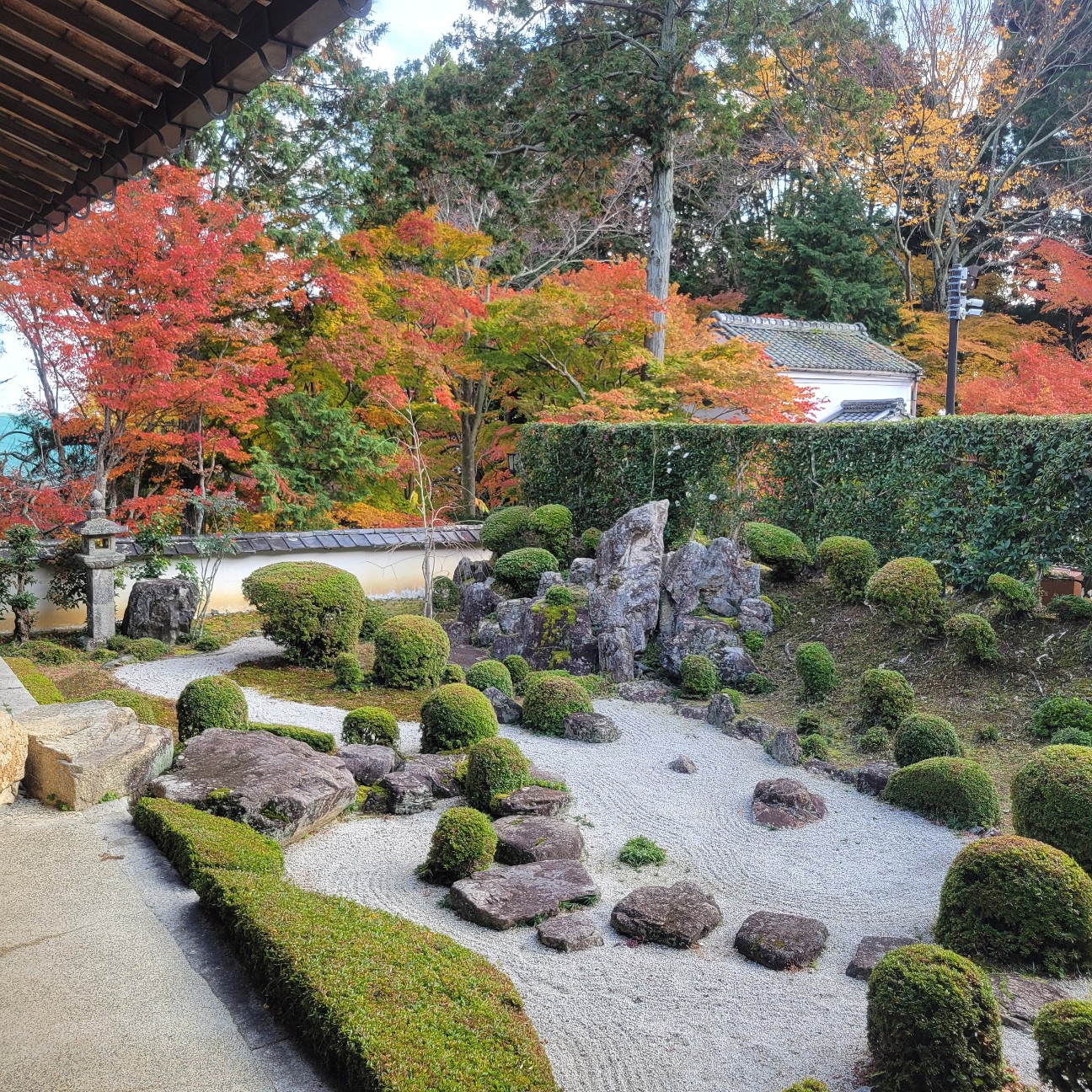 f:id:atoriatoriatori:20251219212136j:image