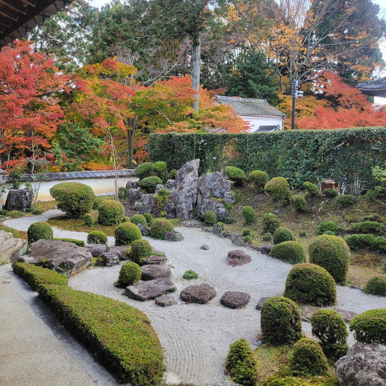 f:id:atoriatoriatori:20251219212145j:image