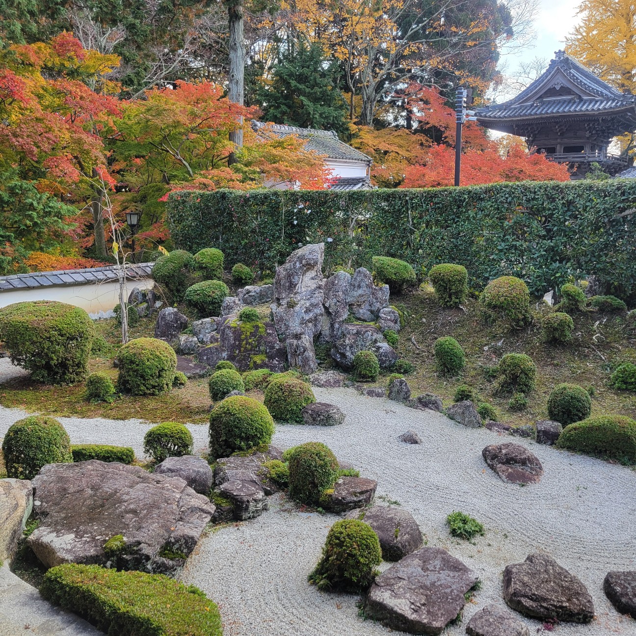 f:id:atoriatoriatori:20251219212156j:image