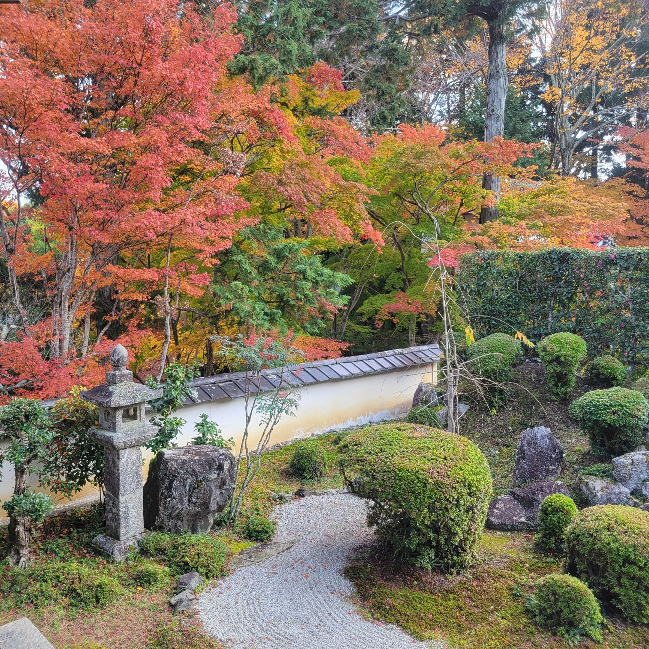 f:id:atoriatoriatori:20251219212205j:image