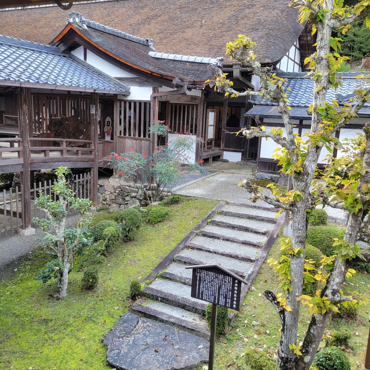 f:id:atoriatoriatori:20251220081852j:image