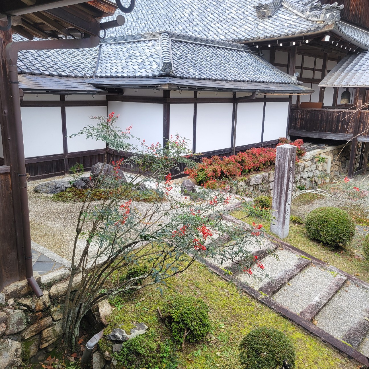 f:id:atoriatoriatori:20251220082002j:image