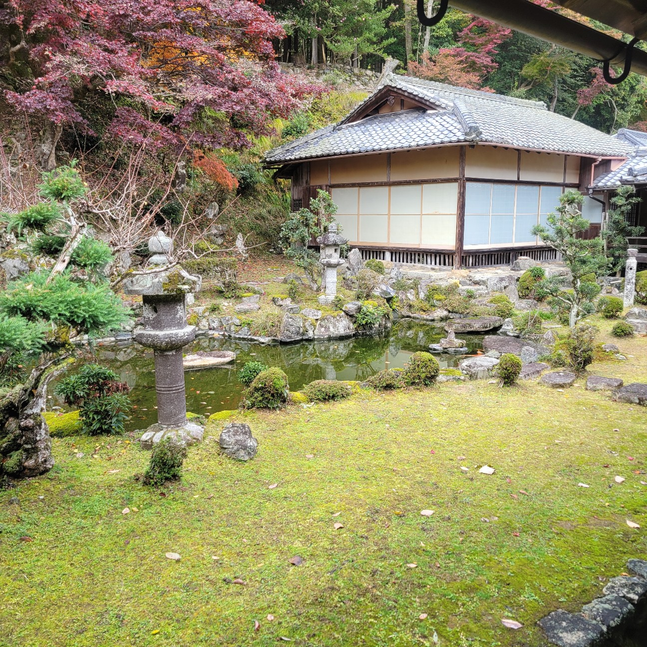f:id:atoriatoriatori:20251220082831j:image