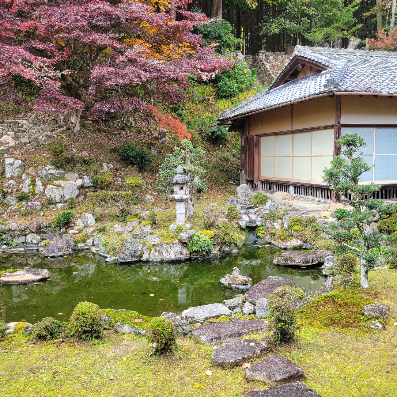 f:id:atoriatoriatori:20251220082842j:image