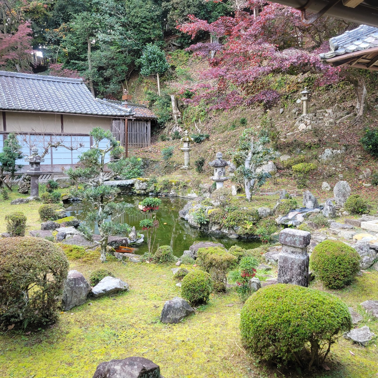 f:id:atoriatoriatori:20251220082900j:image