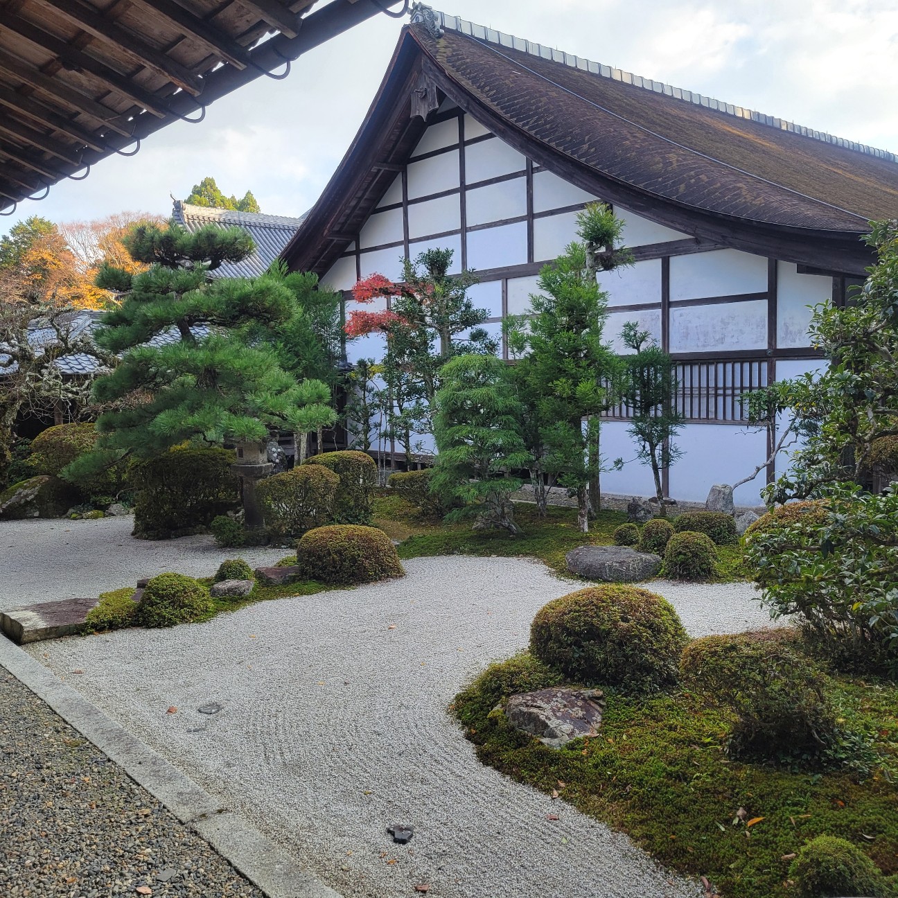 f:id:atoriatoriatori:20251220091904j:image
