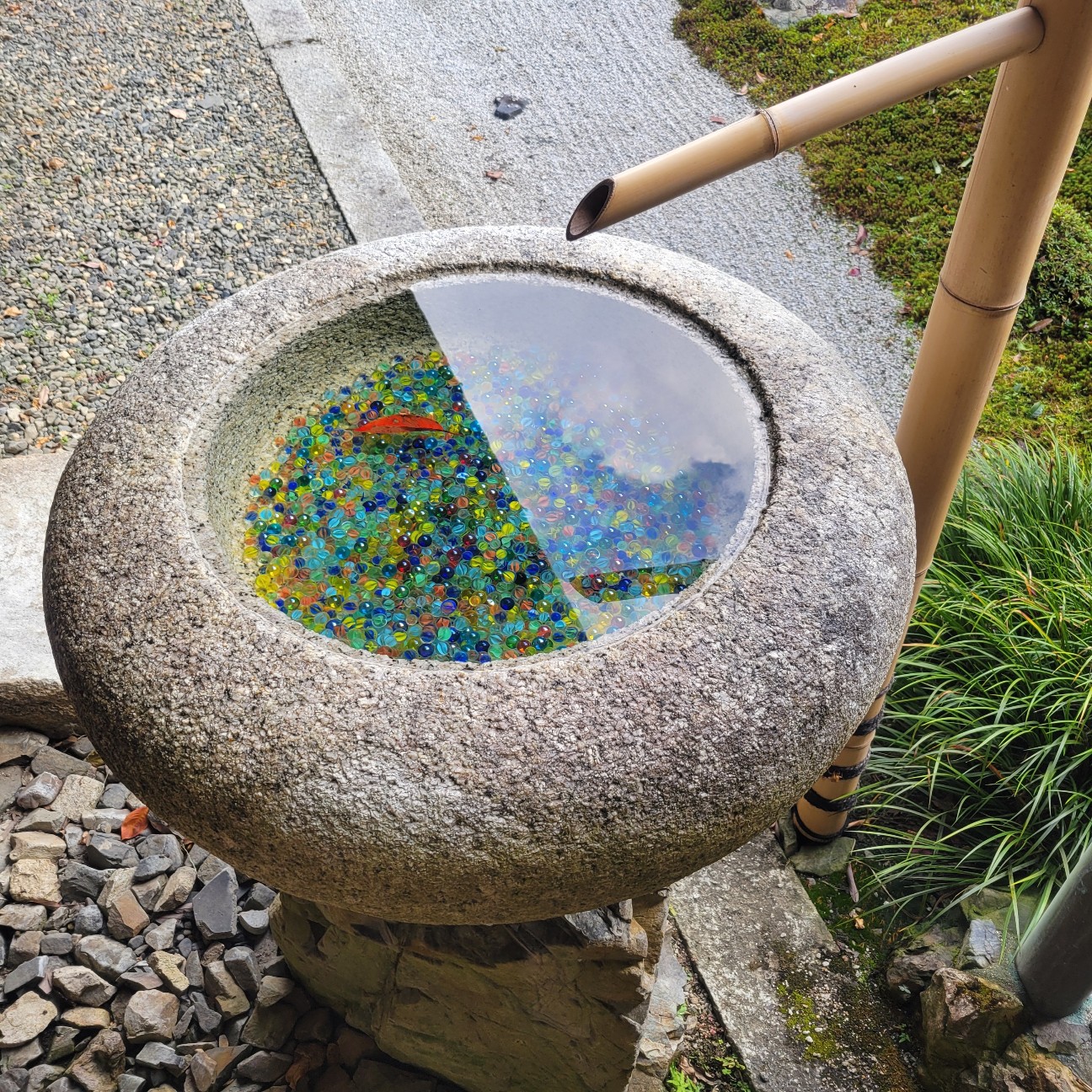 f:id:atoriatoriatori:20251220091912j:image
