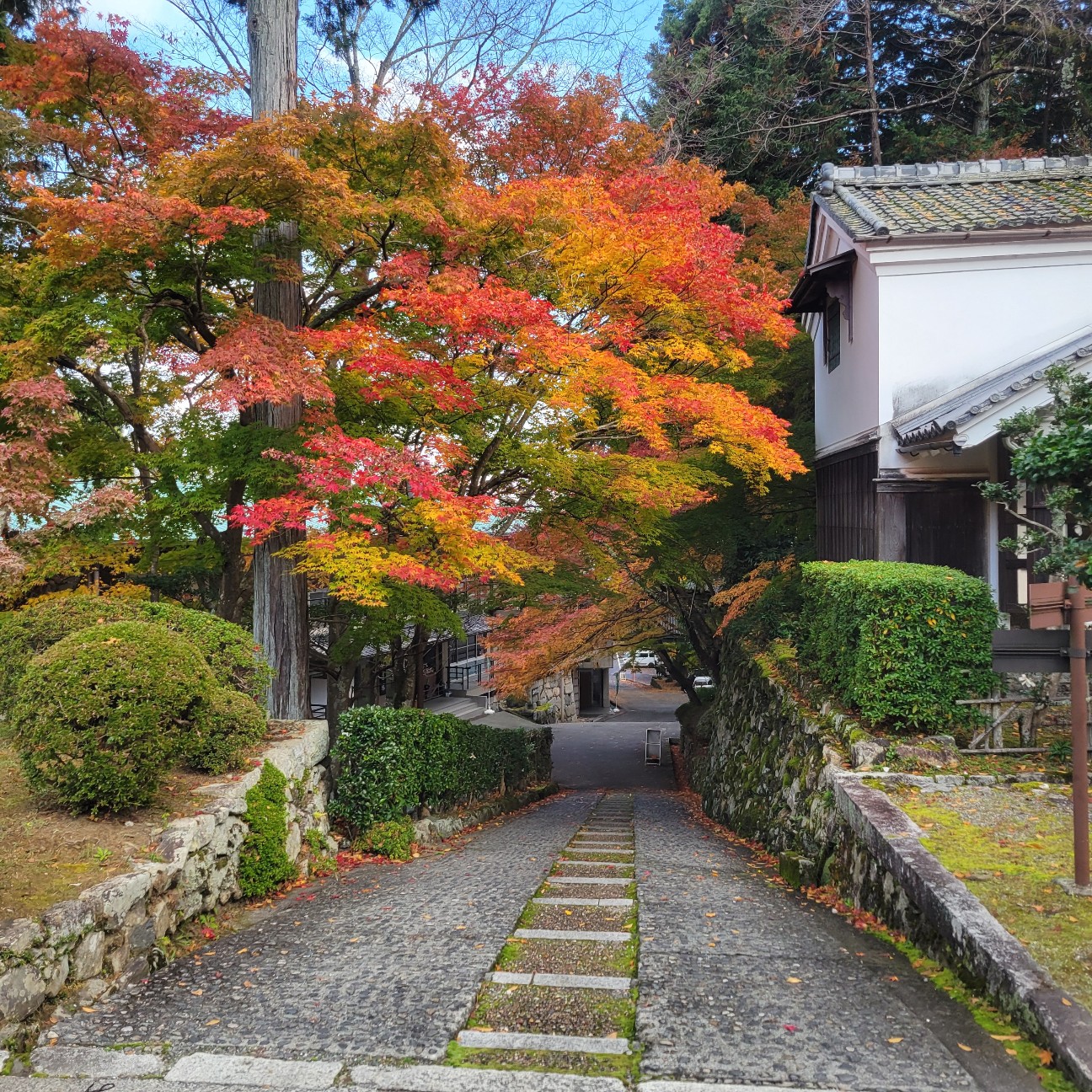 f:id:atoriatoriatori:20251220093721j:image