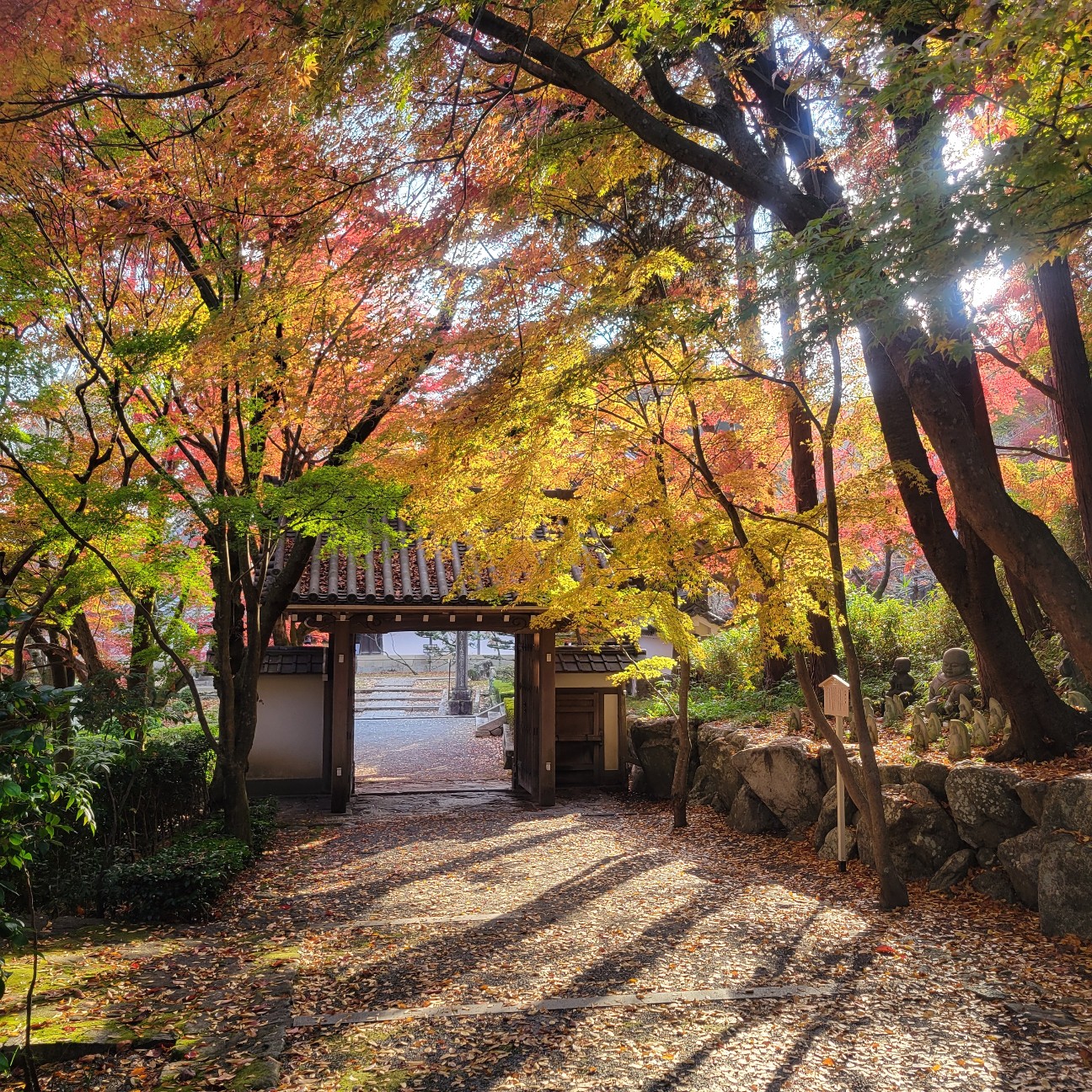 f:id:atoriatoriatori:20251220093809j:image