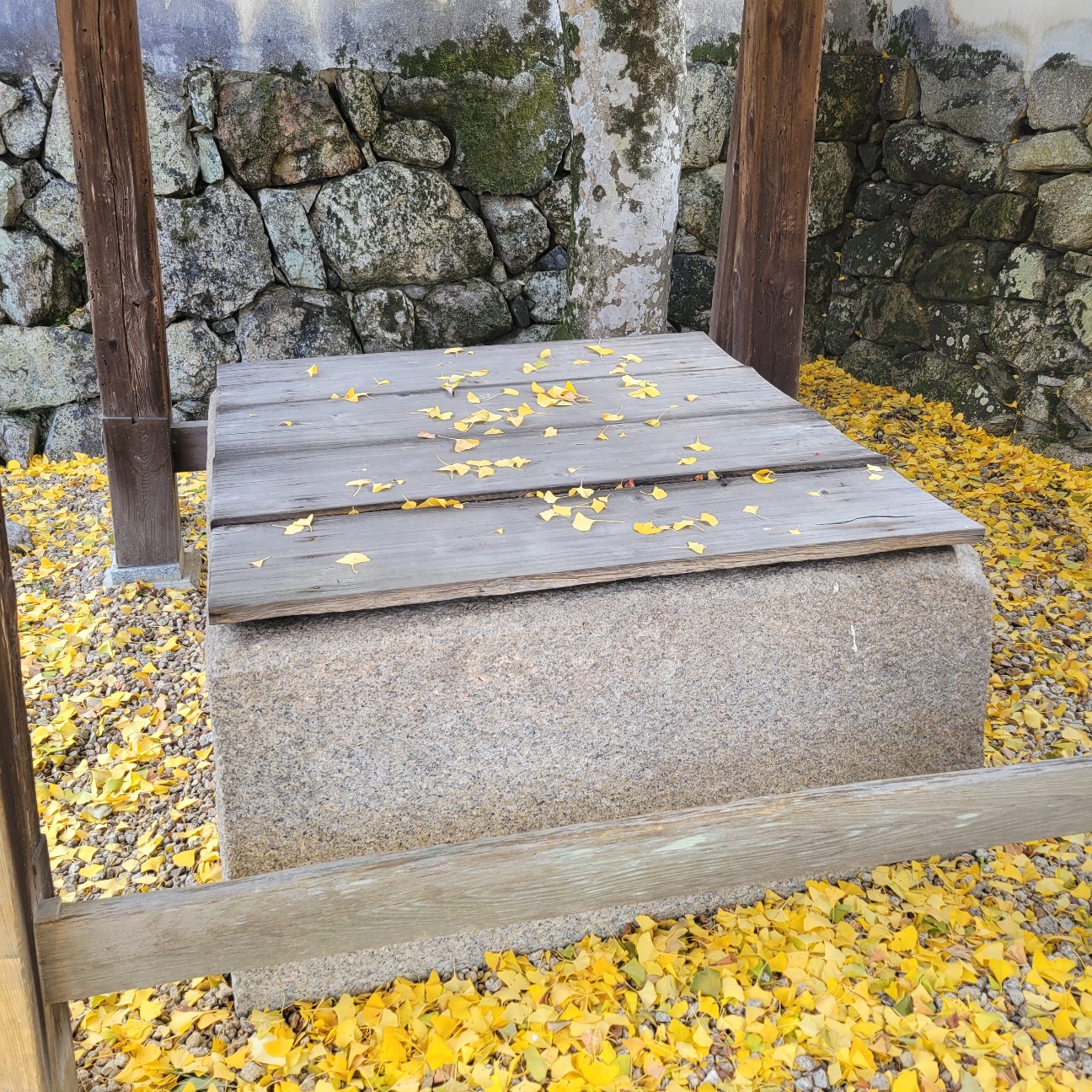 f:id:atoriatoriatori:20251222221806j:image f:id:atoriatoriatori:20251222221806j:image