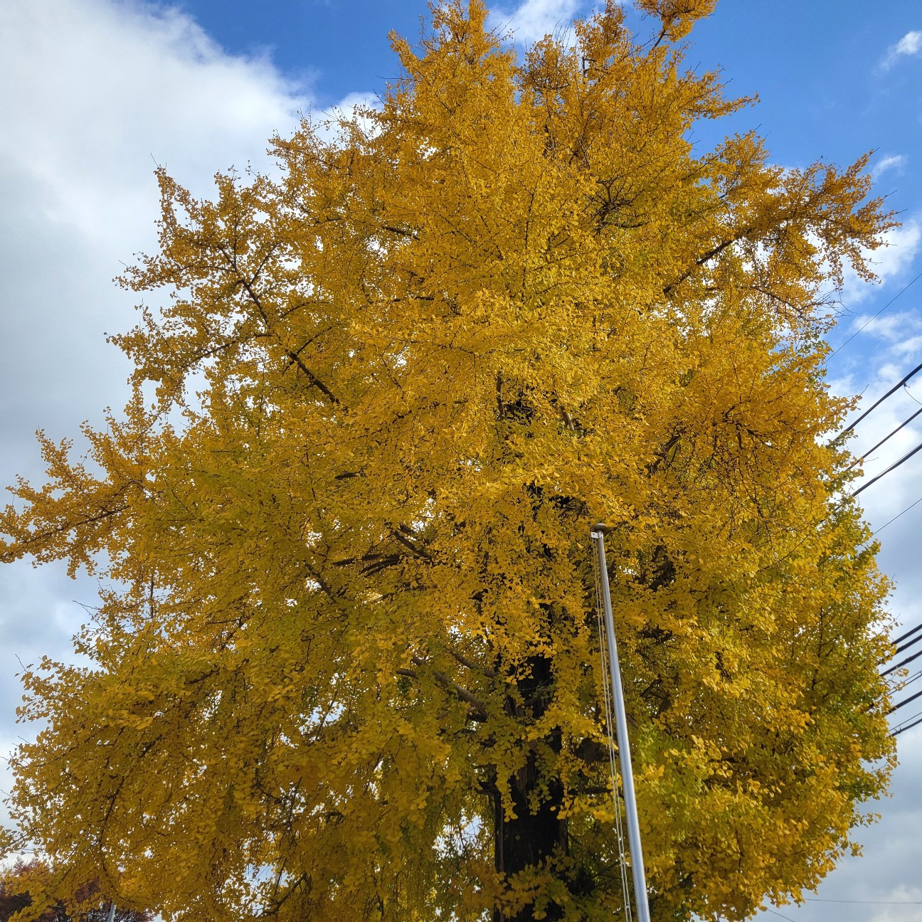 f:id:atoriatoriatori:20251222224005j:image f:id:atoriatoriatori:20251222224005j:image