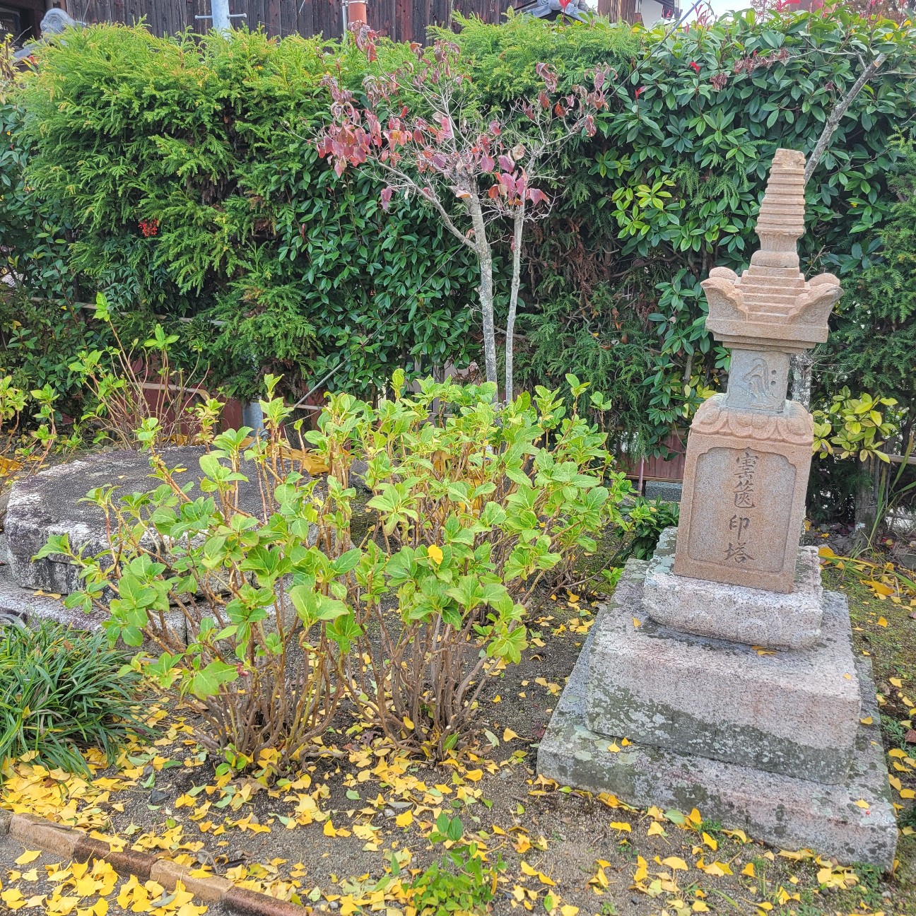 f:id:atoriatoriatori:20251222224234j:image f:id:atoriatoriatori:20251222224234j:image