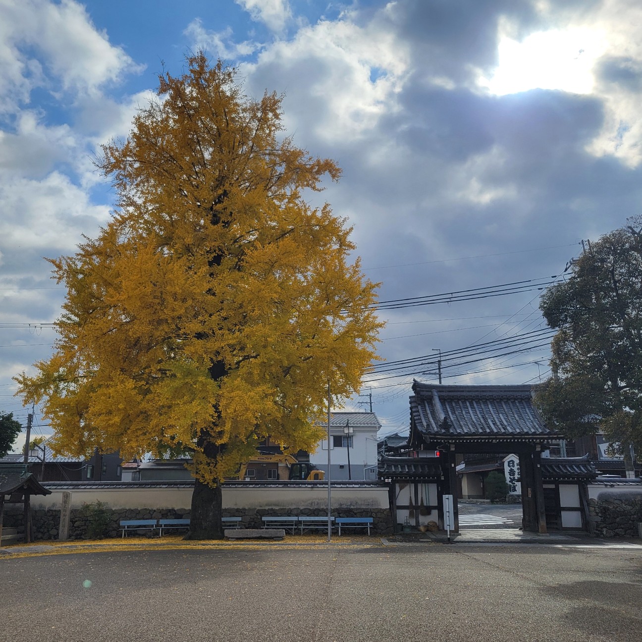 f:id:atoriatoriatori:20251222224641j:image f:id:atoriatoriatori:20251222224641j:image