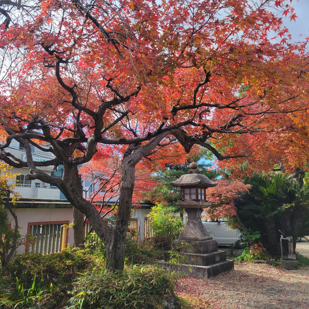 f:id:atoriatoriatori:20251223114600j:image