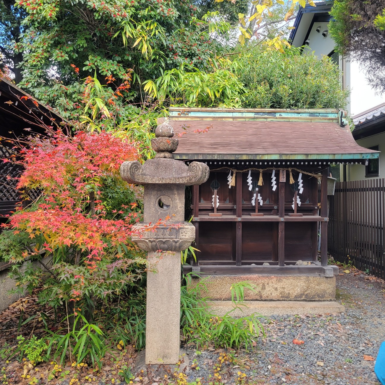 f:id:atoriatoriatori:20251225101329j:image