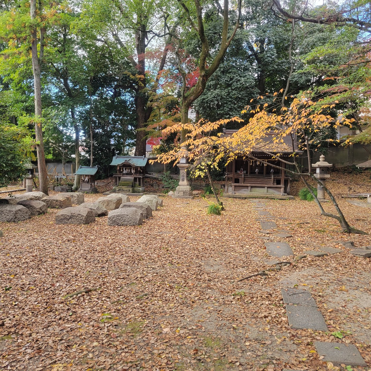 f:id:atoriatoriatori:20251225101548j:image