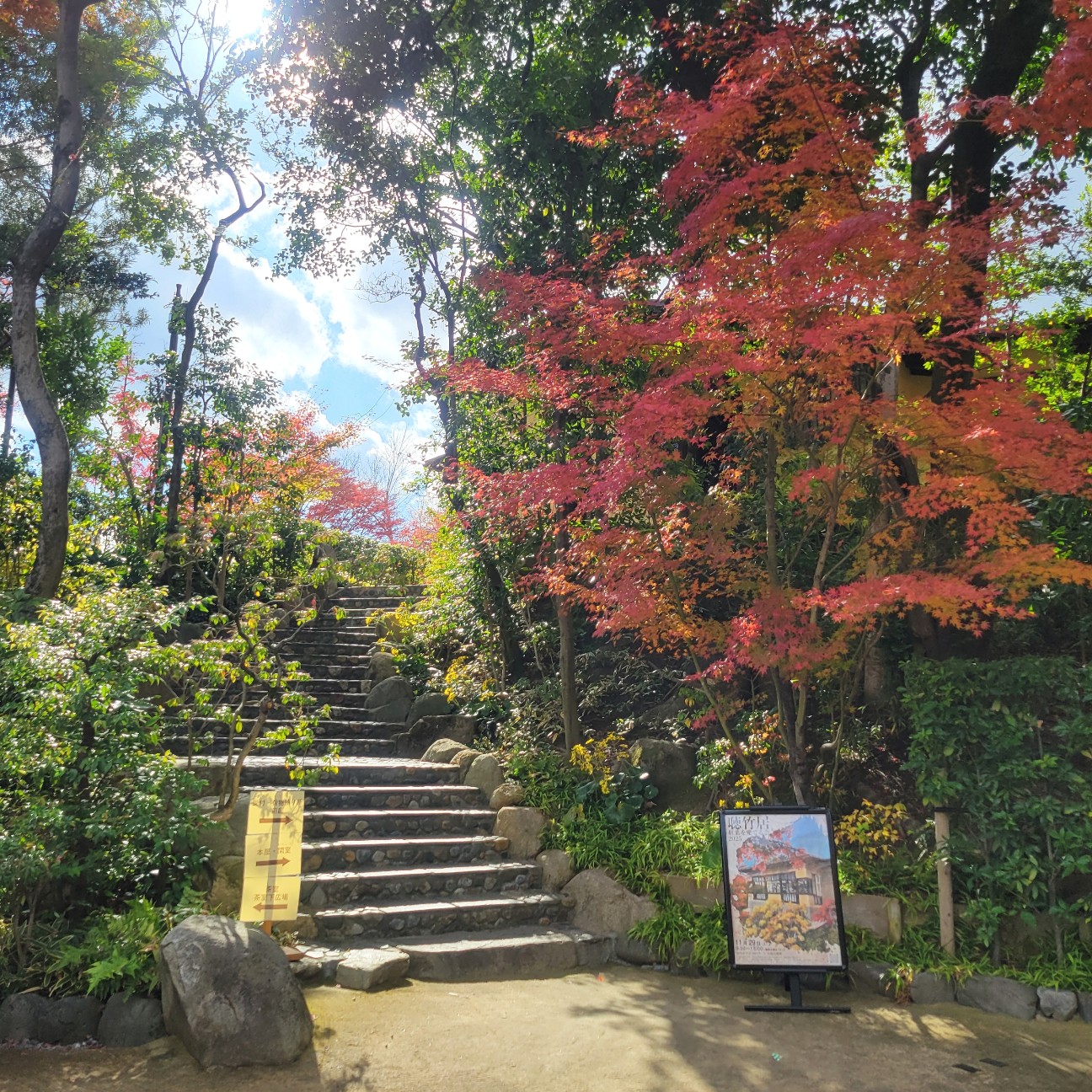 f:id:atoriatoriatori:20251226081113j:image