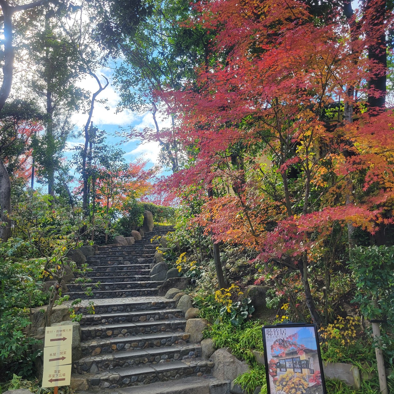 f:id:atoriatoriatori:20251226085012j:image