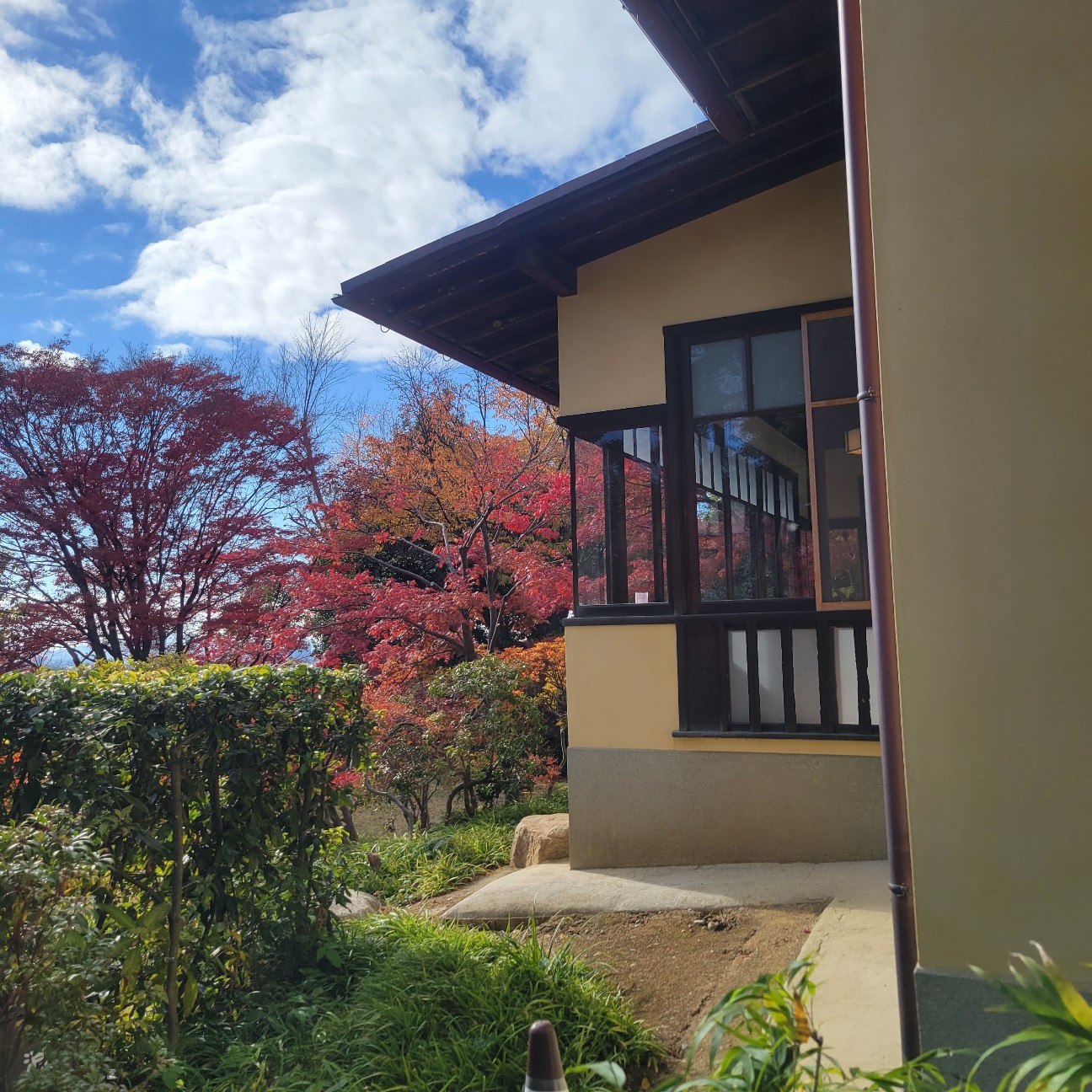 f:id:atoriatoriatori:20251226085221j:image