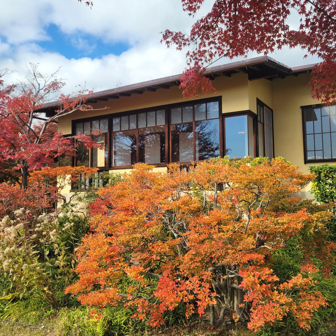 f:id:atoriatoriatori:20251226101318j:image