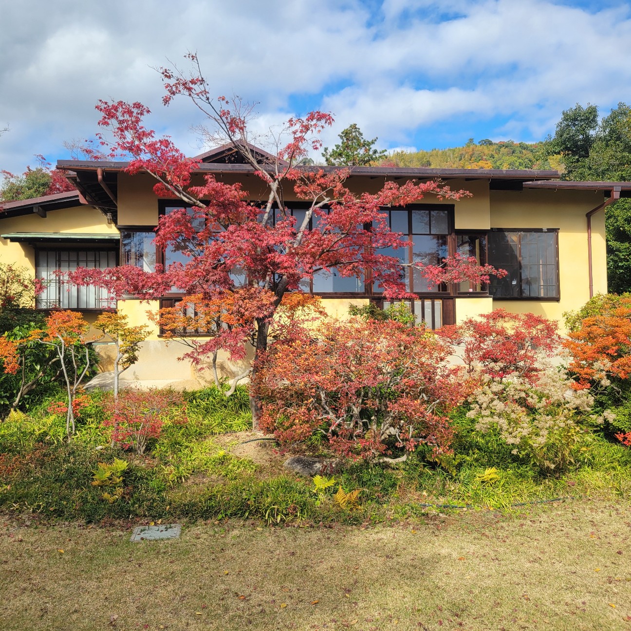 f:id:atoriatoriatori:20251226101327j:image