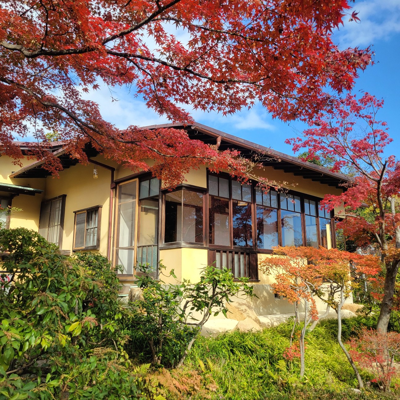 f:id:atoriatoriatori:20251226115424j:image