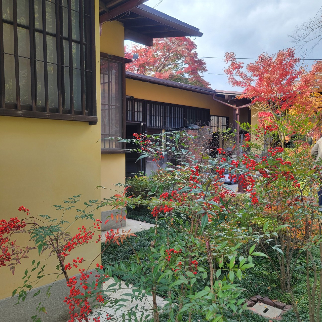 f:id:atoriatoriatori:20251226120301j:image