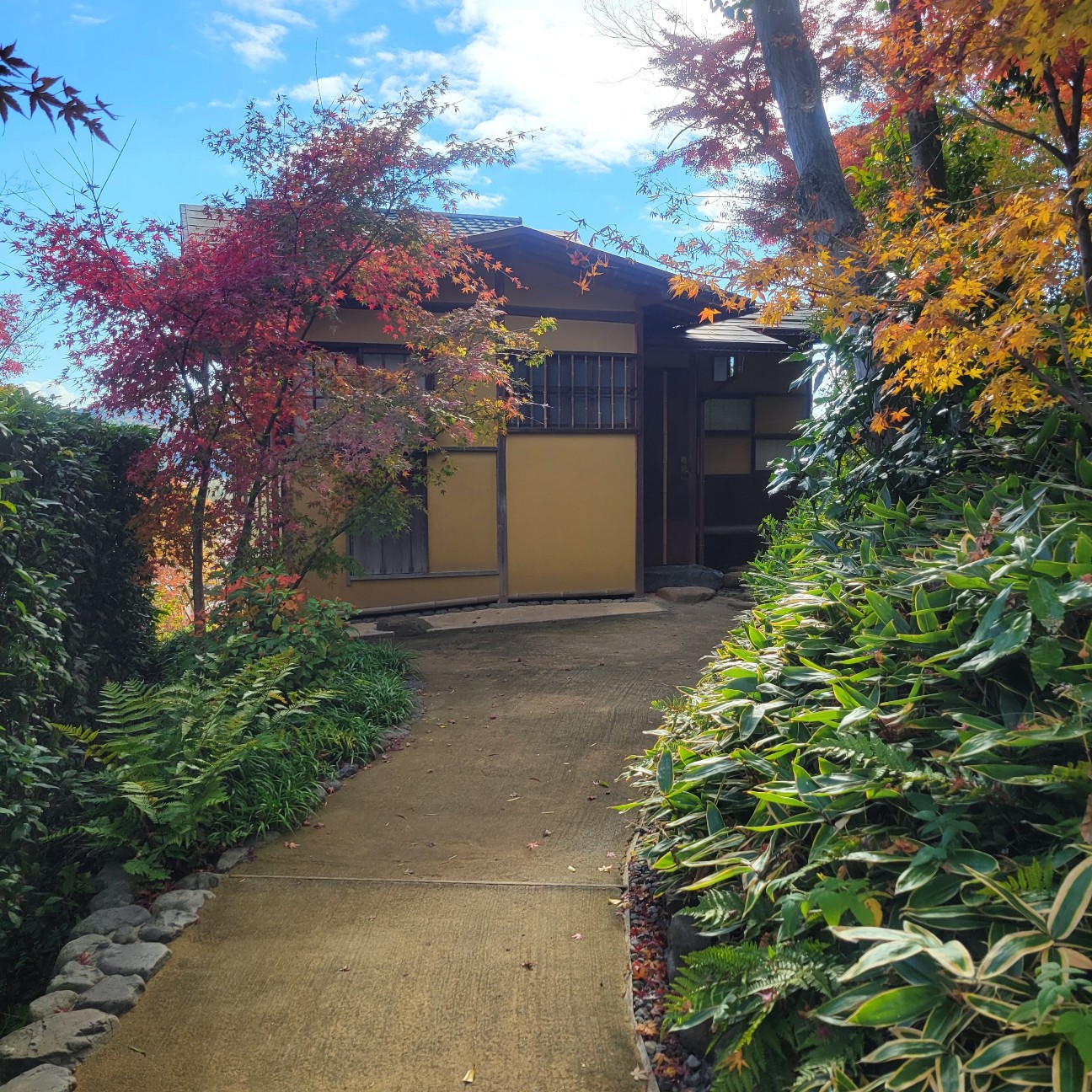 f:id:atoriatoriatori:20251226132005j:image