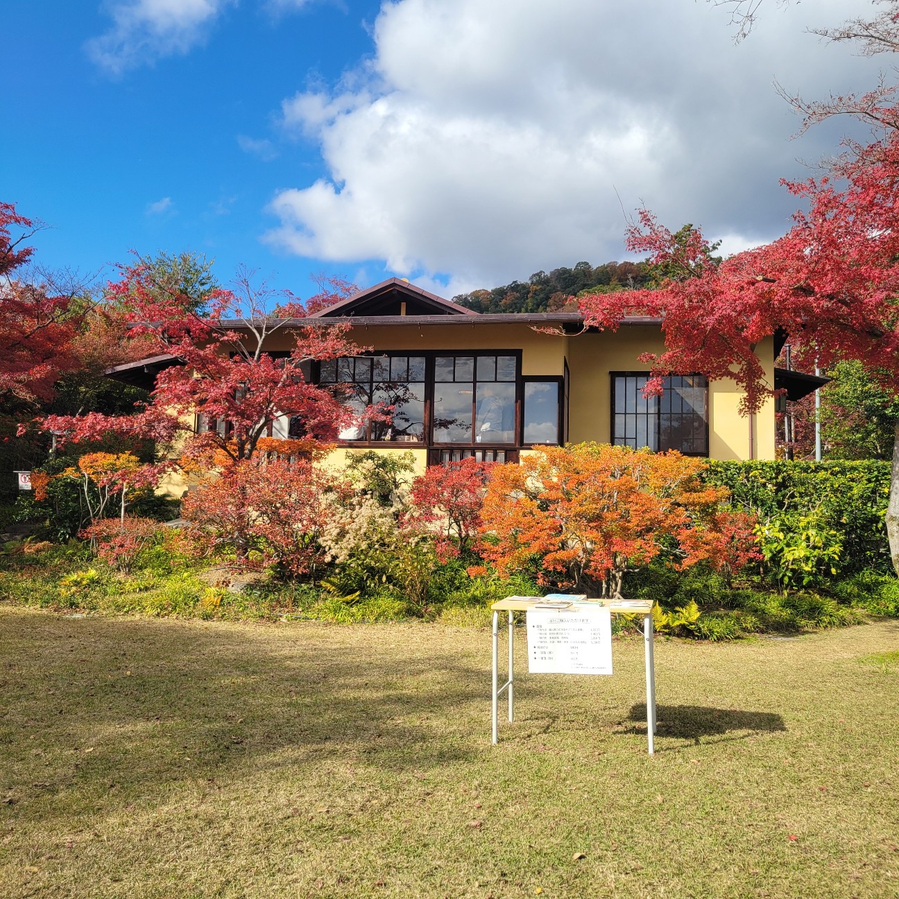 f:id:atoriatoriatori:20251226144836j:image