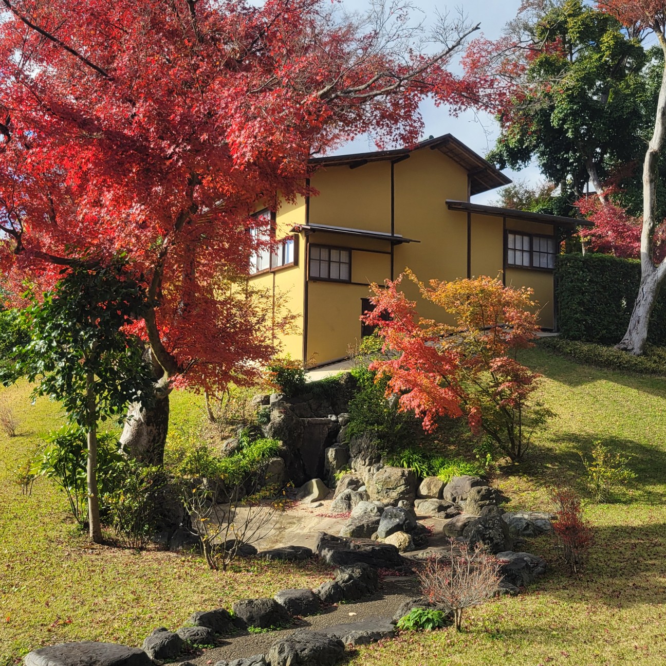 f:id:atoriatoriatori:20251226174309j:image f:id:atoriatoriatori:20251226174309j:image