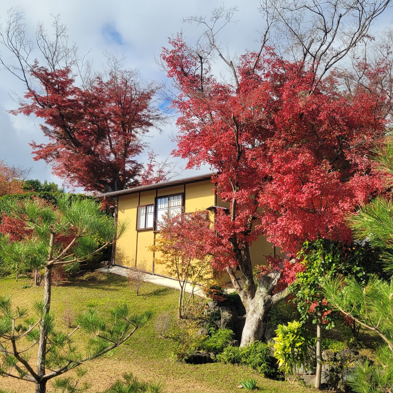 f:id:atoriatoriatori:20251226174317j:image f:id:atoriatoriatori:20251226174317j:image