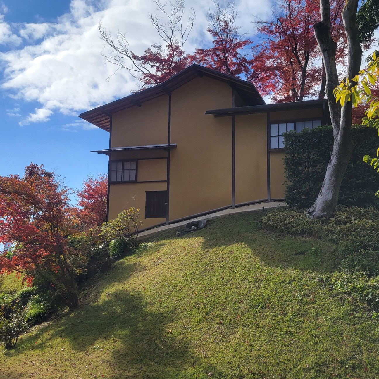 f:id:atoriatoriatori:20251226204050j:image f:id:atoriatoriatori:20251226204050j:image