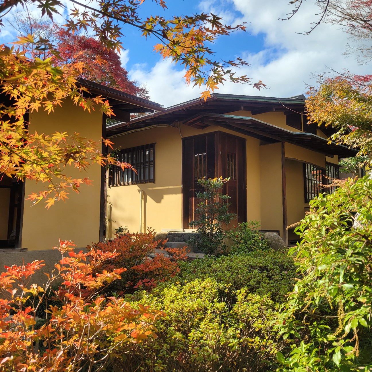 f:id:atoriatoriatori:20251227111250j:image f:id:atoriatoriatori:20251227111250j:image