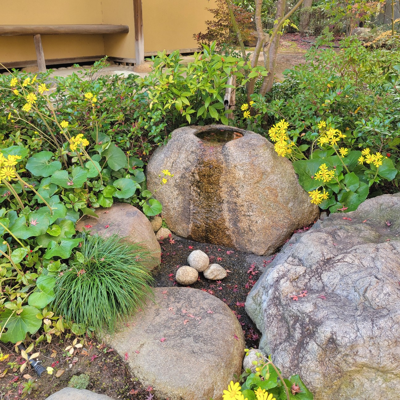 f:id:atoriatoriatori:20251227220215j:image f:id:atoriatoriatori:20251227220215j:image