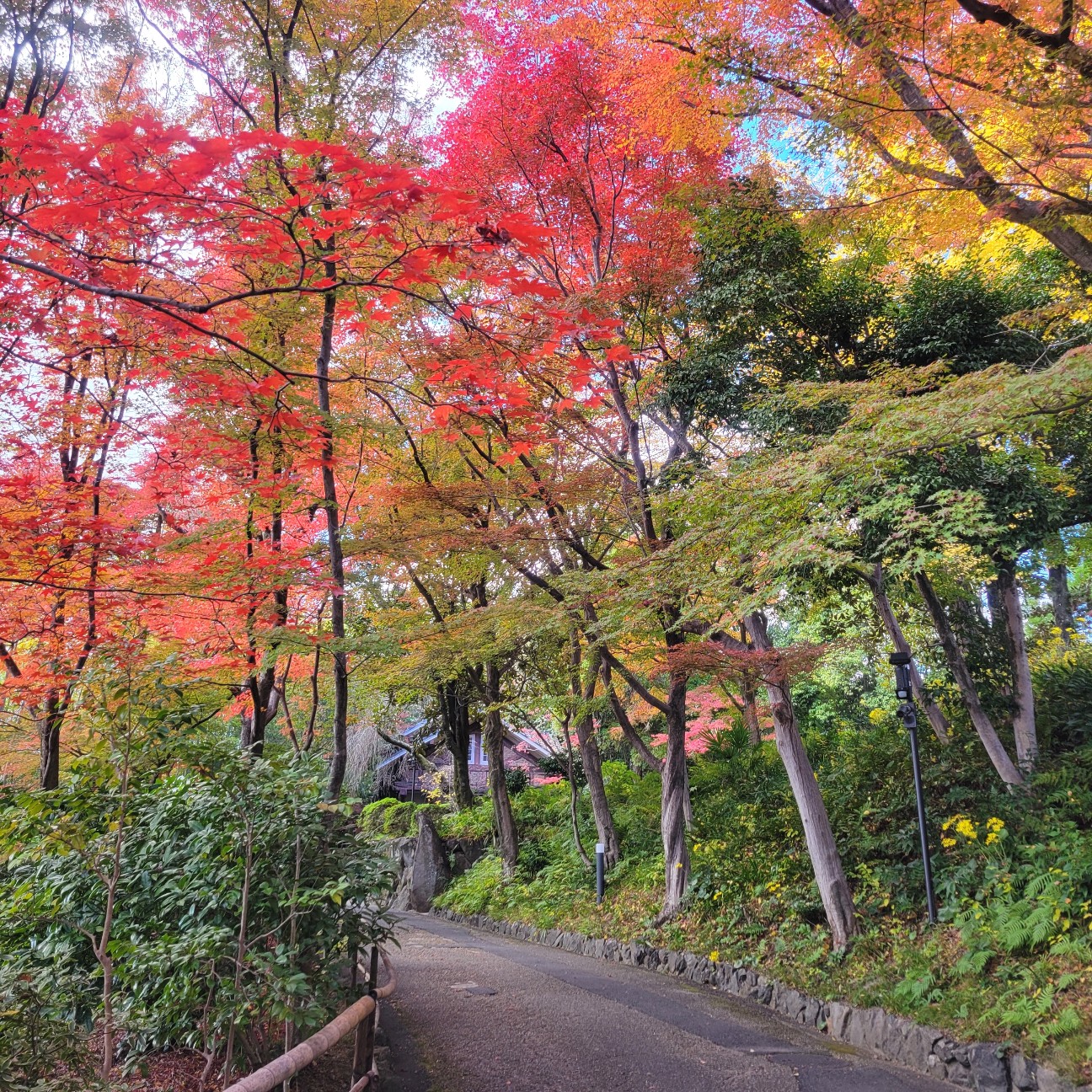 f:id:atoriatoriatori:20251228203931j:image