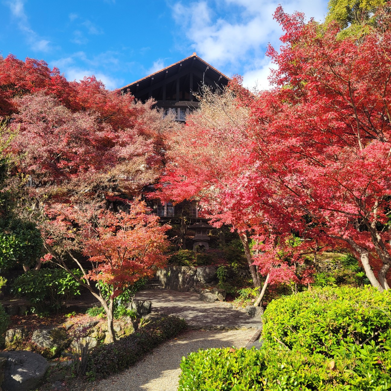 f:id:atoriatoriatori:20251230095457j:image