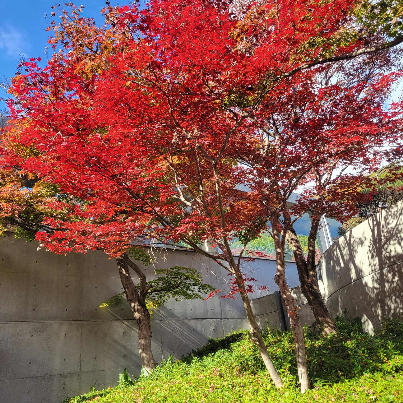 f:id:atoriatoriatori:20251230112207j:image