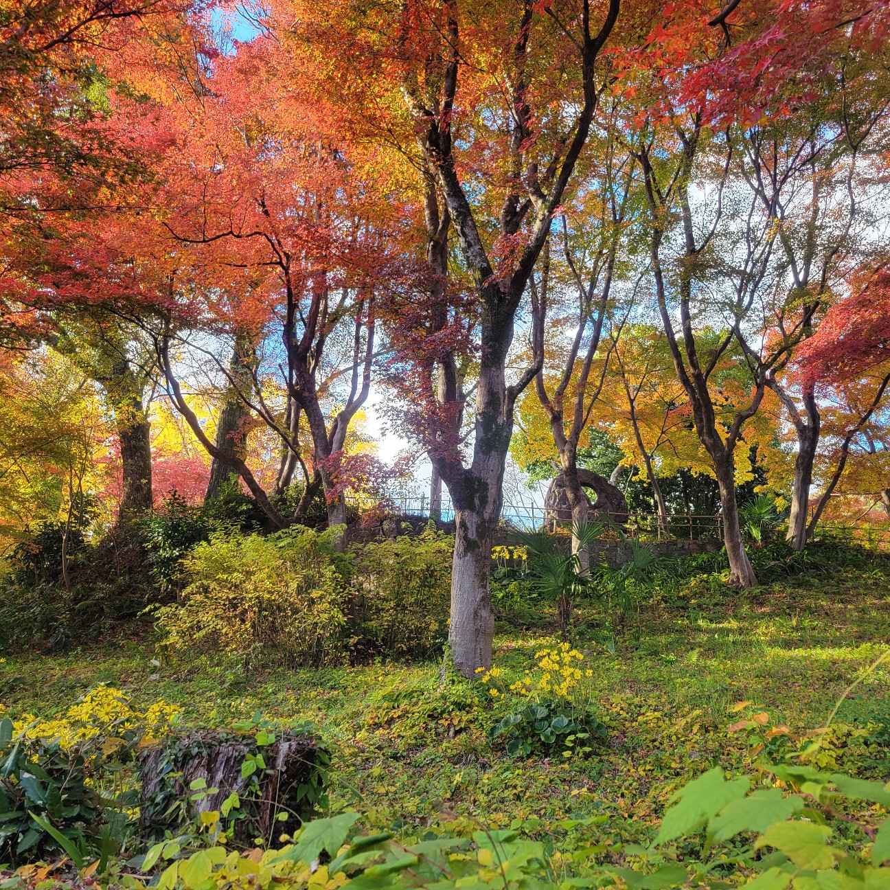 f:id:atoriatoriatori:20251230114038j:image