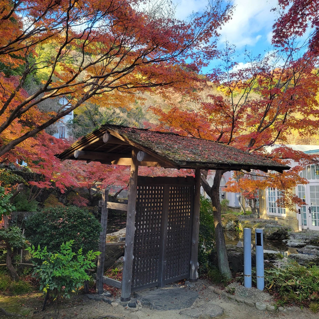 f:id:atoriatoriatori:20251230125908j:image