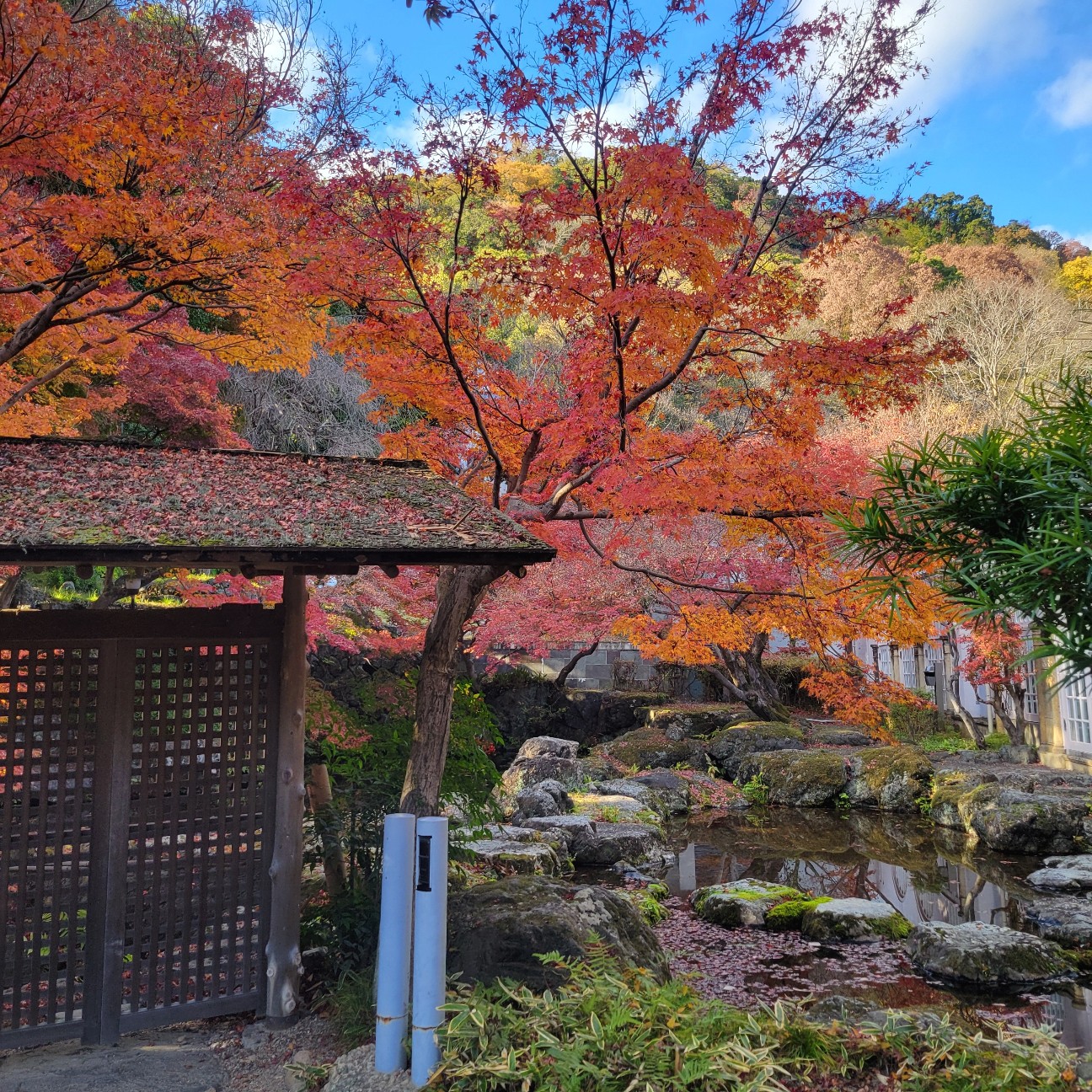 f:id:atoriatoriatori:20251230125916j:image