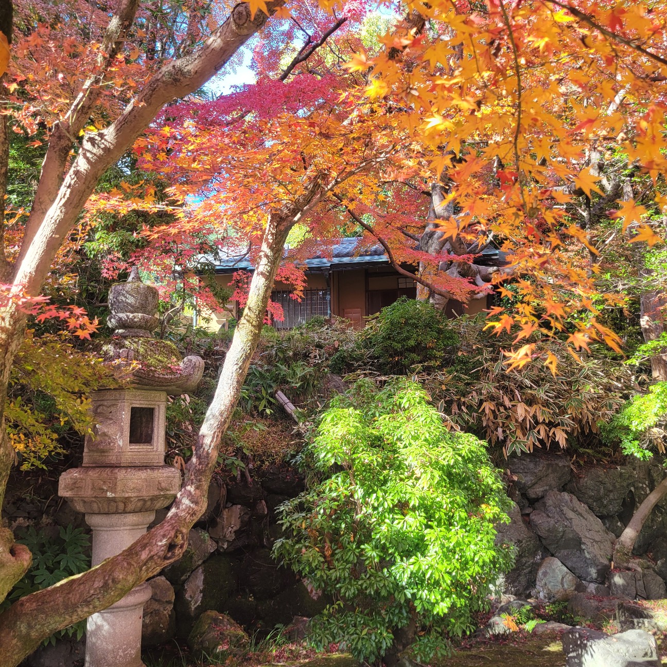f:id:atoriatoriatori:20251230130200j:image