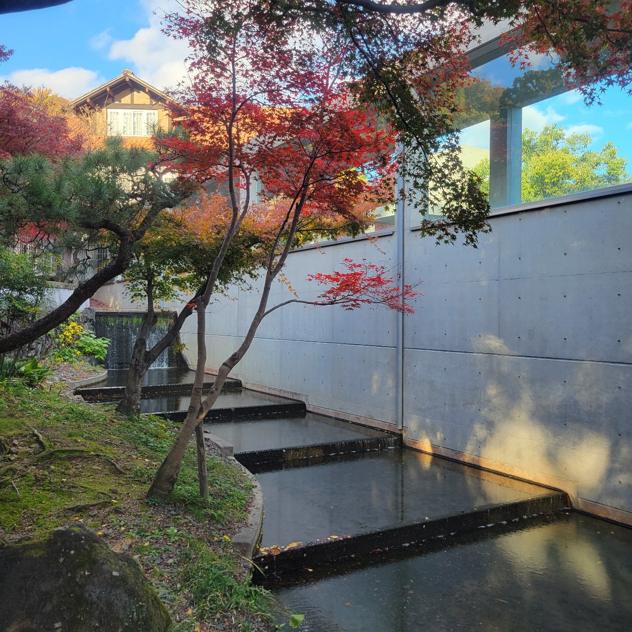 f:id:atoriatoriatori:20251230142743j:image