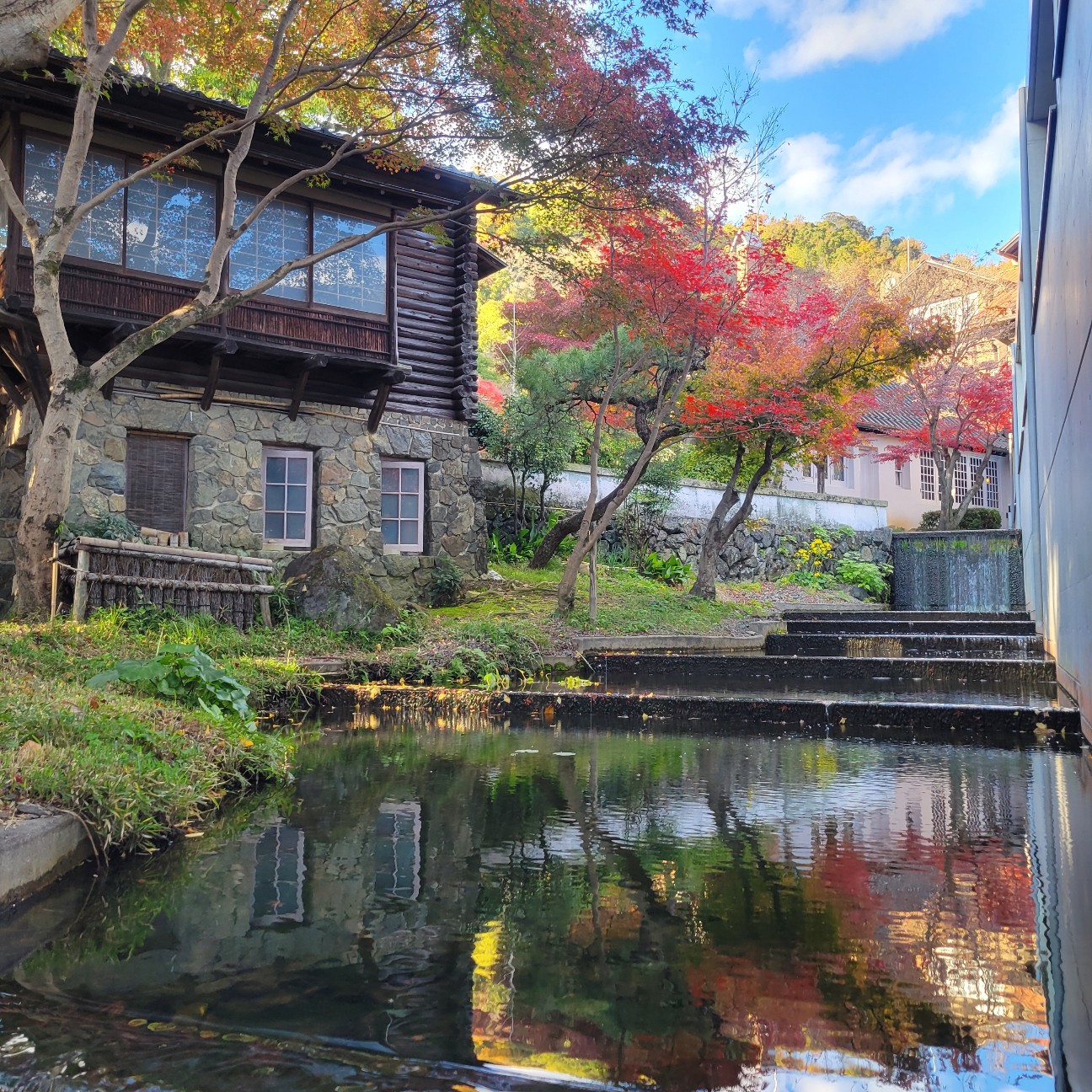f:id:atoriatoriatori:20251230142751j:image