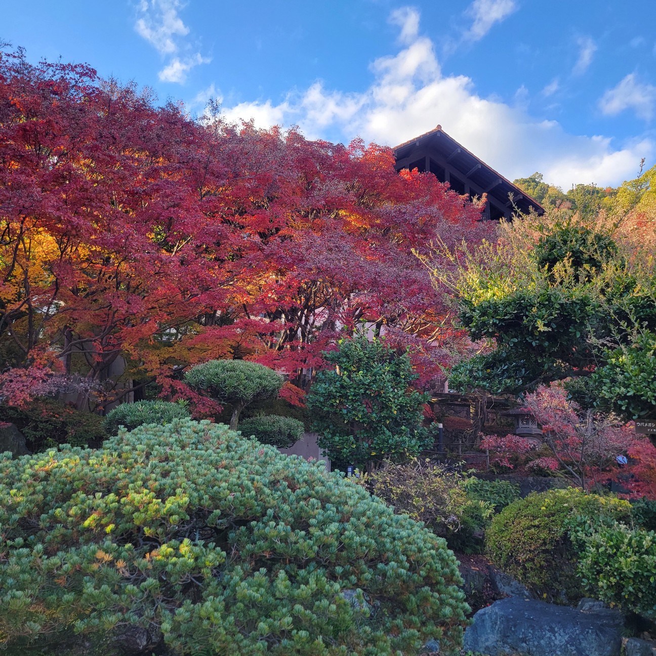 f:id:atoriatoriatori:20251230142821j:image
