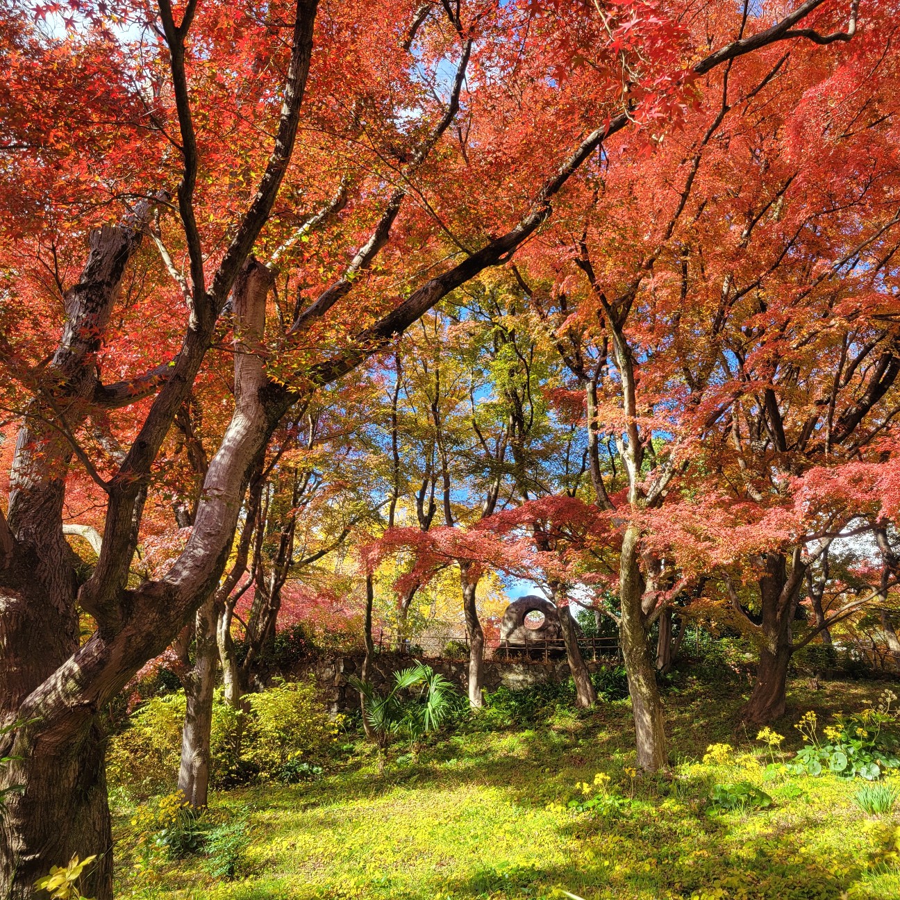 f:id:atoriatoriatori:20251230144120j:image