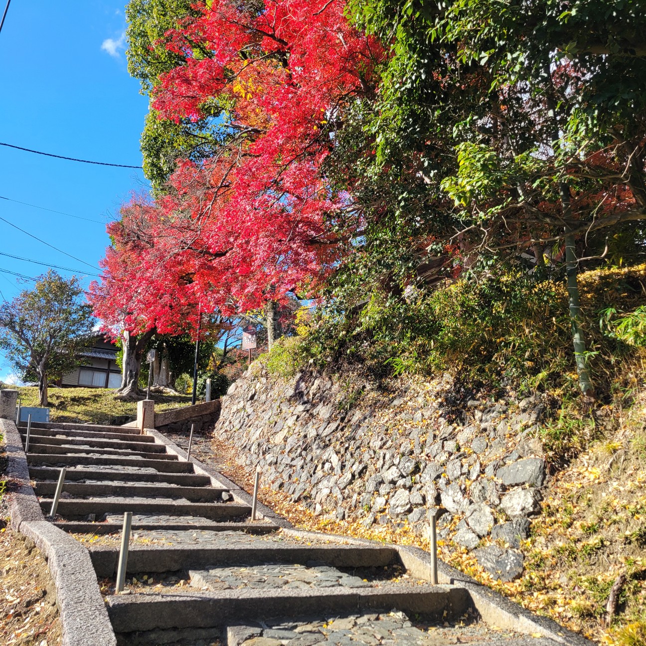 f:id:atoriatoriatori:20251231095041j:image