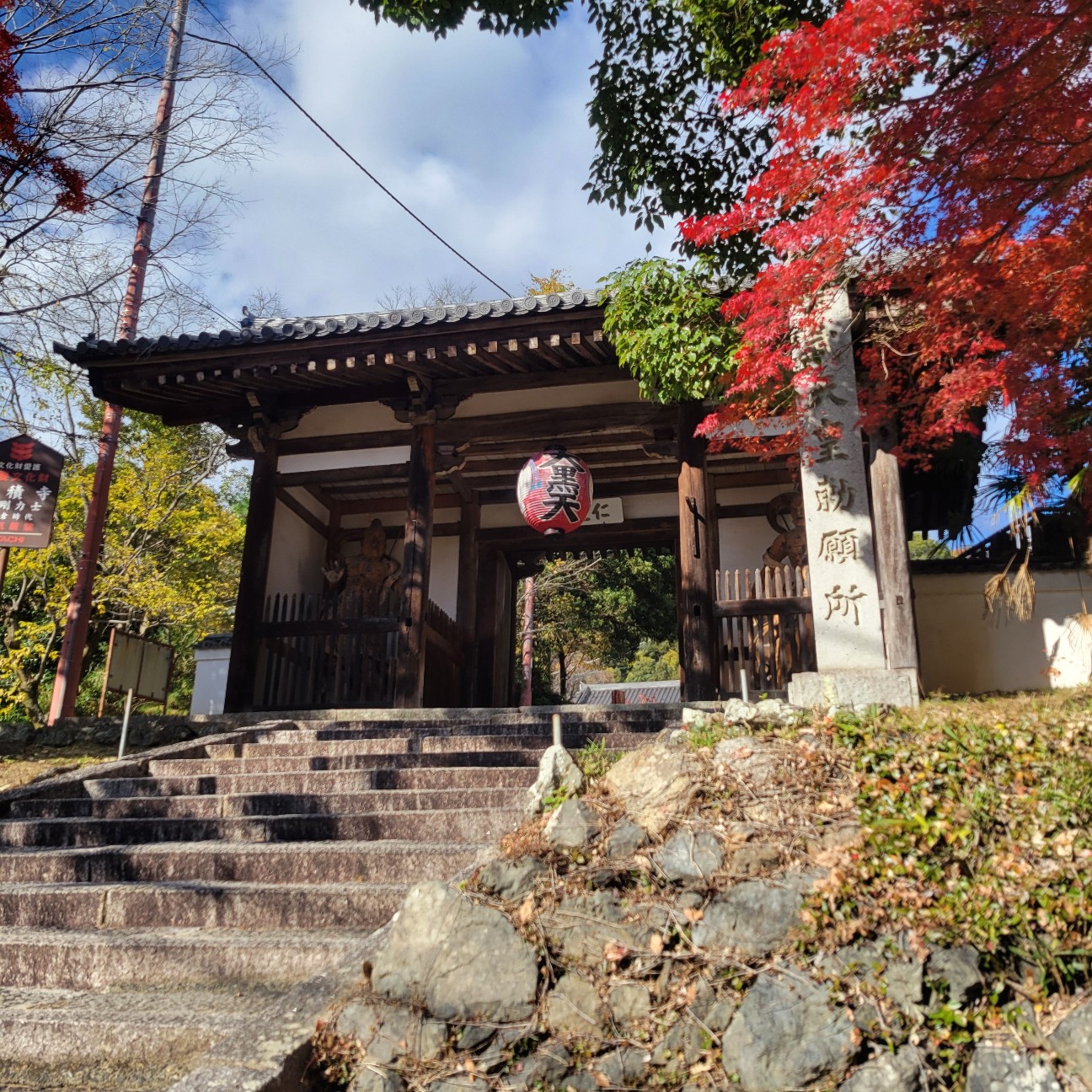 f:id:atoriatoriatori:20251231095106j:image