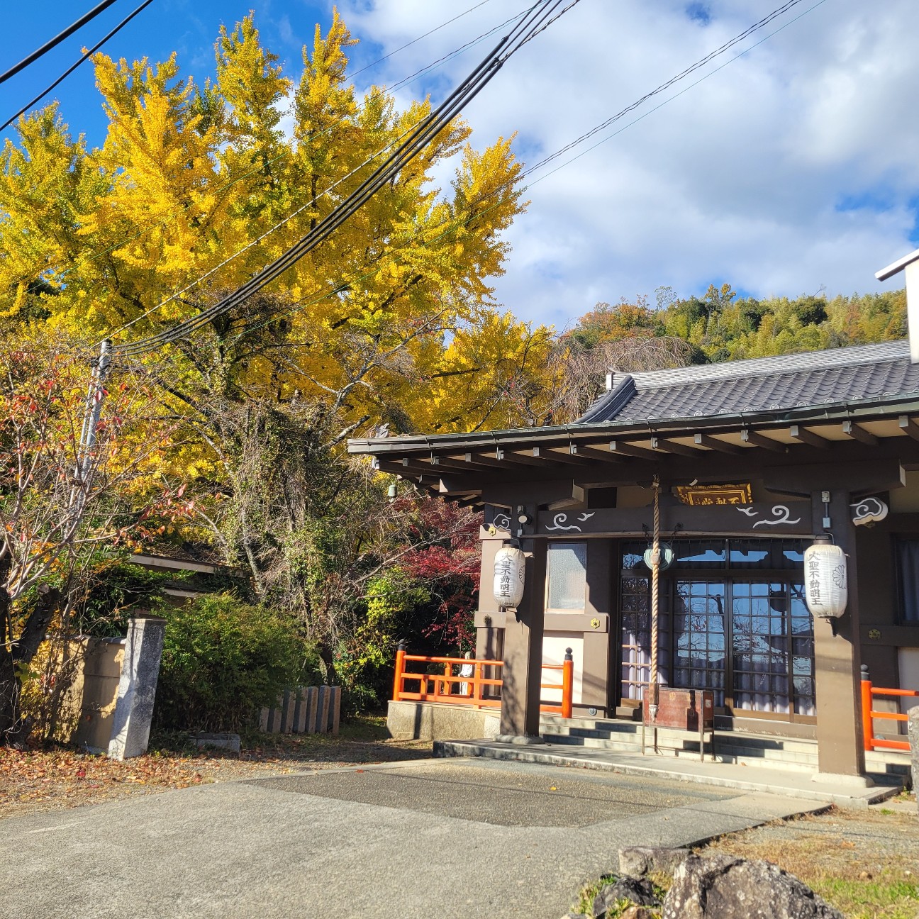 f:id:atoriatoriatori:20251231101048j:image