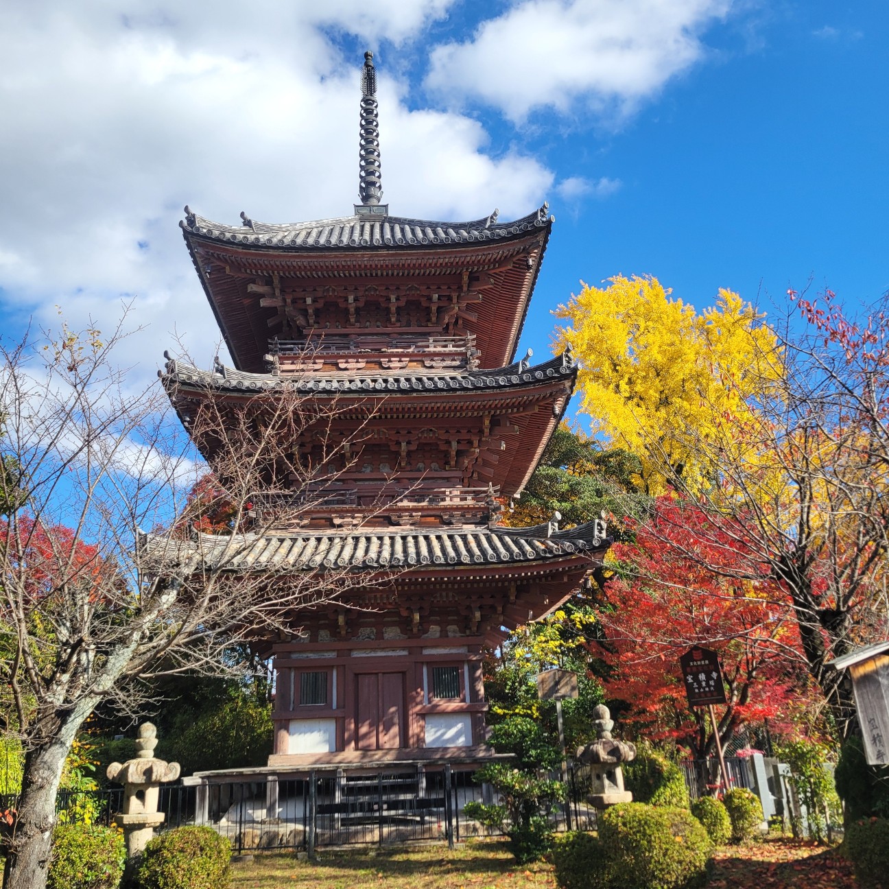 f:id:atoriatoriatori:20251231101444j:image